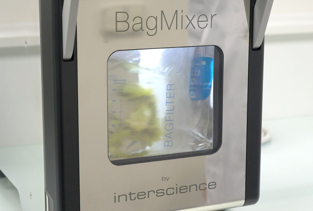 Sac BagFilter Pipet dans un malaxeur BagMixer