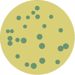 Compass Bacillus Cereus™