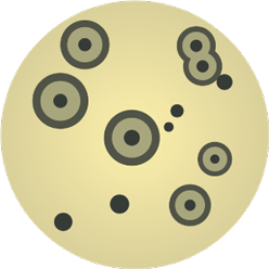 Staphylocoques (BAIRD-PARKER, BAIRD-PARKER RPF)