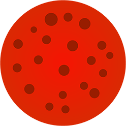 Blood Agar