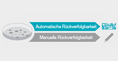 Vergleich von manueller und automatischer Ausplattierung
