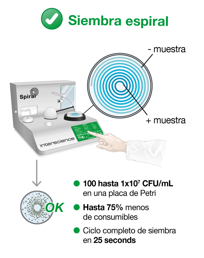 Metalizado exponencial con el método automático Spiral